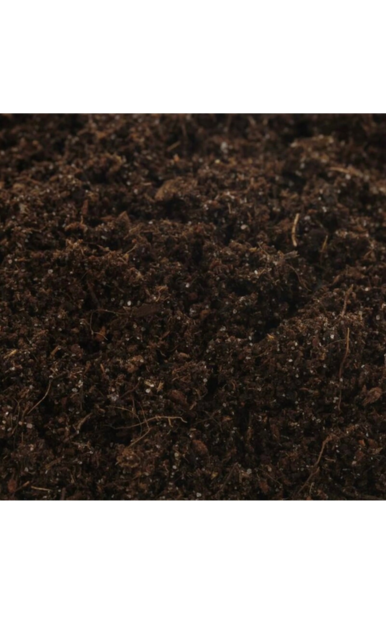 Canna Terra Seed Mix 25L