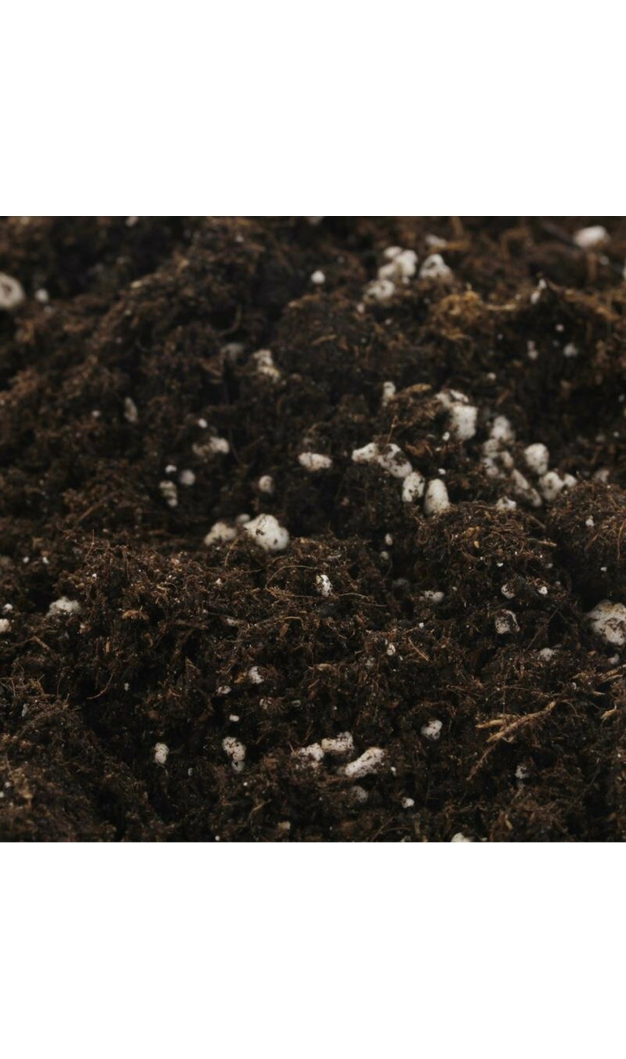 BioBizz Light Mix Erde 50L