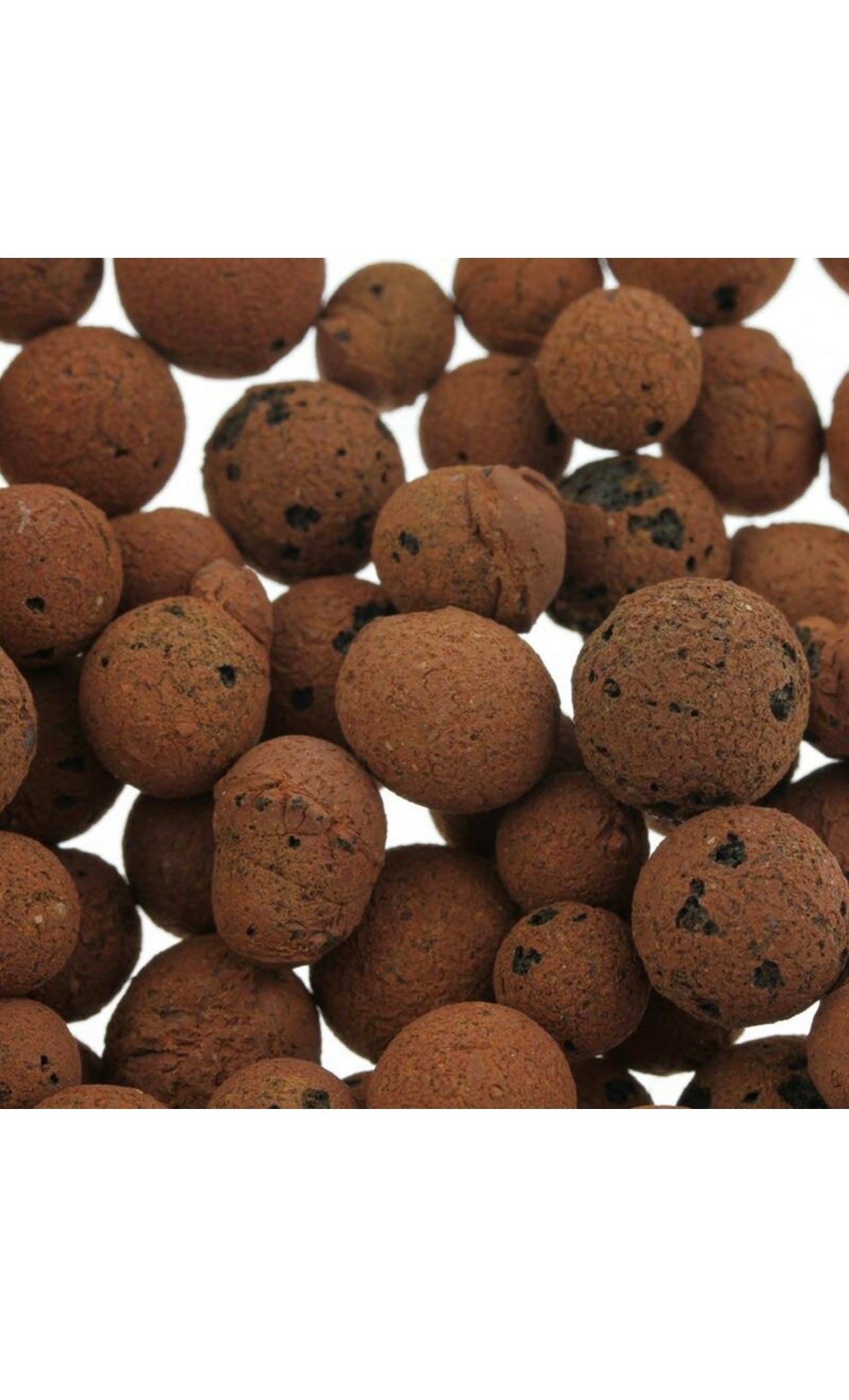 Canna Hydro Correls 45L